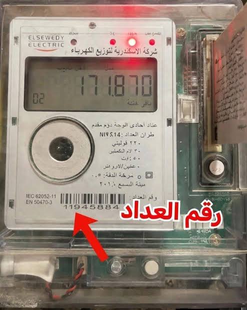 oQ80yURCQCqq5axDdP5JyTOHqrBMihE1A64vxVIF.jpg